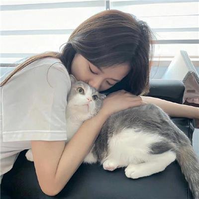 结界师