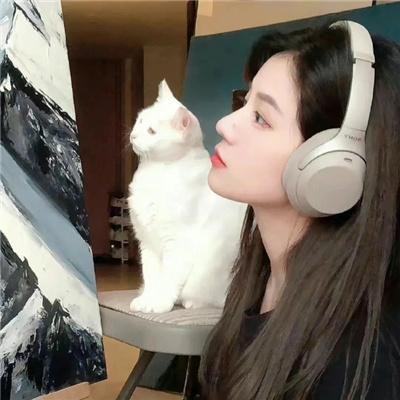 龙的心